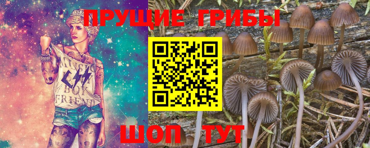 Псилоцибиновые грибы мицелий  Вход с VPN  Подольск  Псилоцибиновые грибы MAGIC MUSHROOMS 