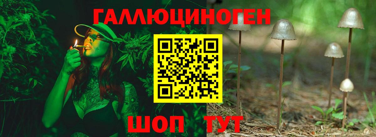 Псилоцибиновые грибы Cubensis Подольск